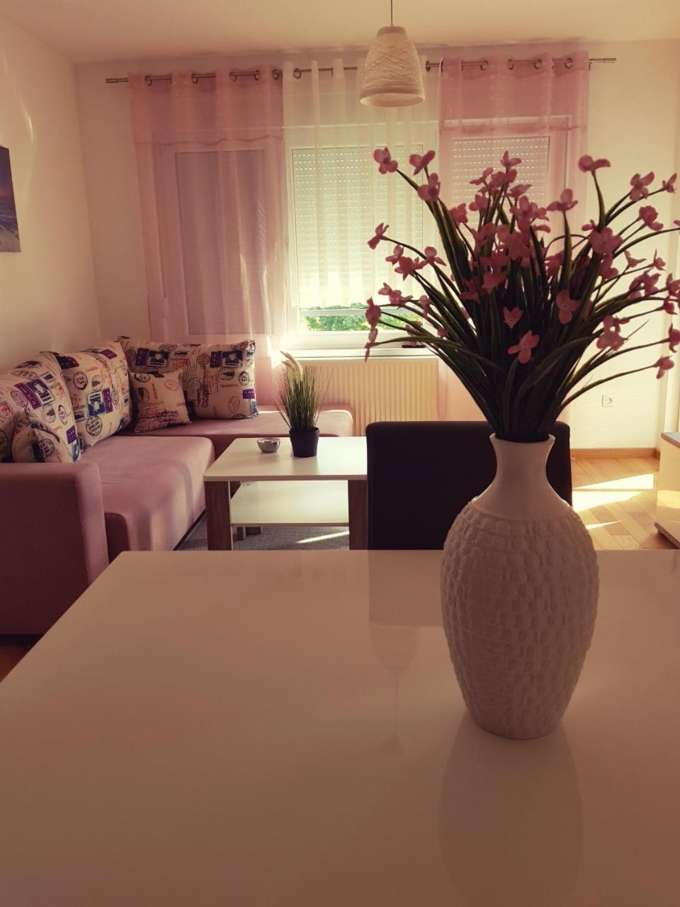 Apartman Dijana 바냐루카 객실 사진